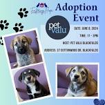 Blackfalds Pet Valu Adoption Event & Microchip Clinic