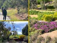 Victoria Lake to Australian Botanic Gardens, Walk and Lunch - Shepparton