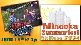 Nashville Electric LIVE at Minooka Summerfest!