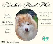 Northern Breed Meet