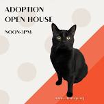 Adoption Open House