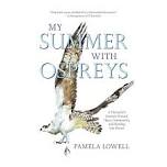 Presentation: My Summer with Ospreys with Author, Artist, and Trauma therapist Pamela Lowell, MSW, LICSW