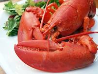 $29 Lobster Dinner Special