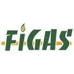 Figas & Vehigas