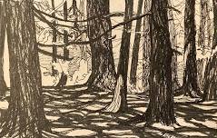 Draw The Forest: Preliminary Drawing Fundamentals for Plein Air Painting