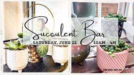 Succulent Bar at Humble Roots