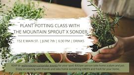 PLANT POTTING CLASS WITH THE MOUNTAIN SPROUT