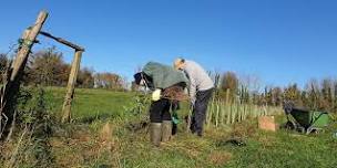 Hedge Mulching Action Day - The Hampshire Hedge Wednesday 22nd May