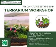 4-H Terrarium Workshop