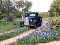 Bluebonnet Streetrodders Car Show