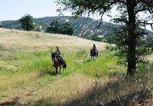 Cowboy Camp NATRC competitive Trail Ride