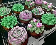 Succulent Cupcake Decorating Class!