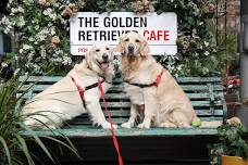 GOLDEN RETRIEVER CAFE - NEWCASTLE