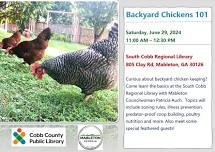 Backyard Chickens 101