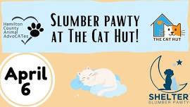 Shelter Slumber Pawty at The Cat Hut!