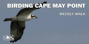 Birding Cape May Point