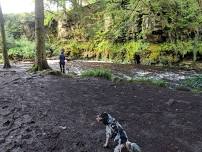 Calderglen Cani-Hike