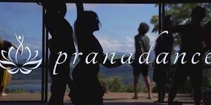 Pranadance- Open Floor Conscious Dance at Mana Retreat!