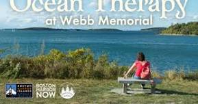 Half-day Ocean Therapy Retreat at Webb Memorial