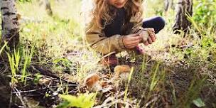 Landcare Walk and Craft - NO BOOKINGS REQUIRED