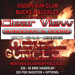 Clear View Windows & Doors- Bucks & Buckles