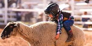 2024 Royal Gorge Rodeo Mutton Bustin'