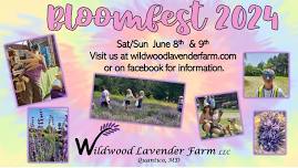 Wildwood Lavender Farm Bloom Festival- June 9, 2024 Sunday