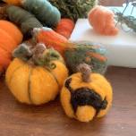 Needle Felting: Pumpkins & Gourds Workshop – Hybrid