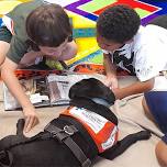 Story Dogs Reading Program at Edmonton Library