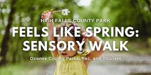 Feels Like Spring: Sensory Walk for Littles