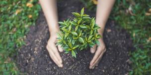 Te Muri Planting Day