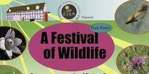 Festival of Wildlife