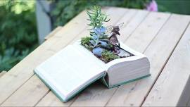 Enchanted Book Gardens