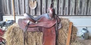 Principles of Saddle Fitting