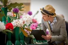 The National Rhododendron Show