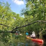 Kayak & Paddleboard Rentals