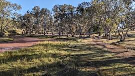 Red Gum Run & Ramble