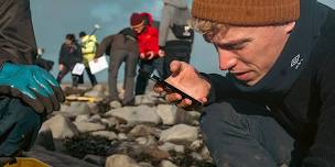 ShoreSearch November 2024 Survey  - West Street Beach - Watchet