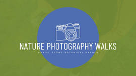 Nature Photography Walks