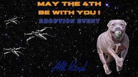 May the 4th: Adoption Event