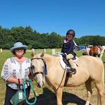 Lupine Farm Summer Show