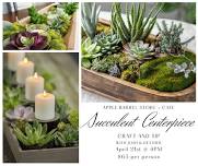 Craft and Sip: Succulent Centerpiece