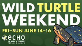 Wild Turtle Weekend