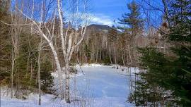 Moderate hike at the Tin Mountain Trails, Jackson NH