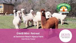 DWIB Mini Retreat