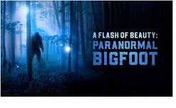 Paranormal Sasquatch