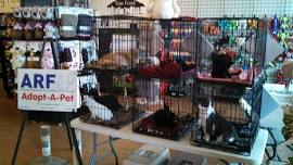 Adoption Event @ Earthwise Pet Supply