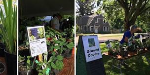 Best Native Plant Sale in Rhode Island