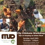 City Chickens Workshop