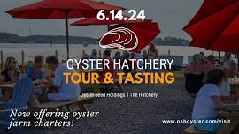 Oyster Hatchery Tour & Tasting